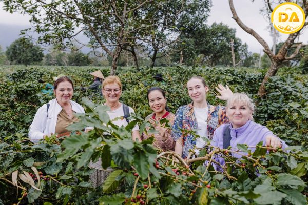 Trang Trại cà phê Organic